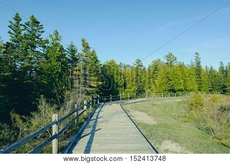 Boardwalk in forest at Presque Isle, MI, USA