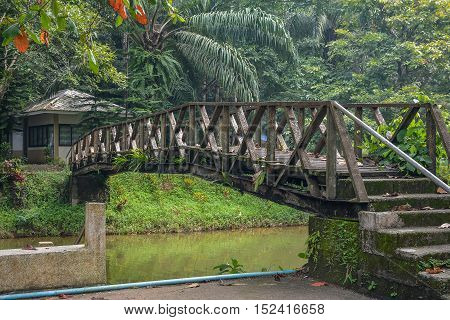 Old wooden bridge over the river with jungle background