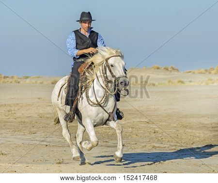 herdsman on the beach whit his Camargue horse