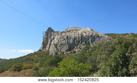 Rock in forest on blue sky background