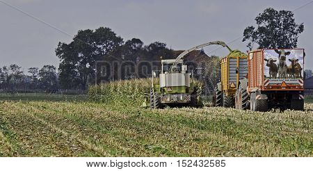 The final stretch of the maize harvest. A chopper, a loaded and an empty silage wagen.
