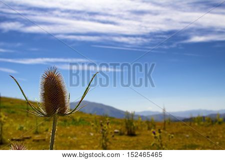 Monti della Laga ( Aquila ) - Italy