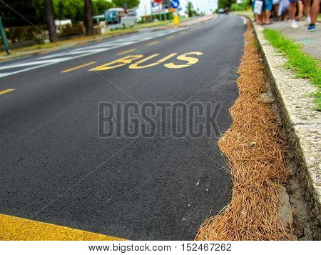 The asphalt road in the city. Near the road at the bus stop are people