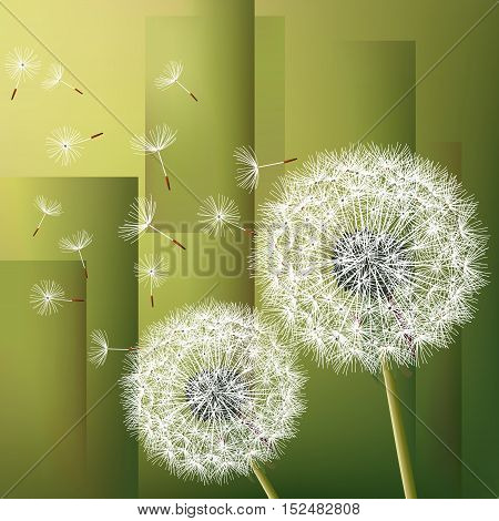 Stylish modern geometric green background with two flowers dandelions and flying fluff. Abstract trendy floral wallpaper. Vector illustration