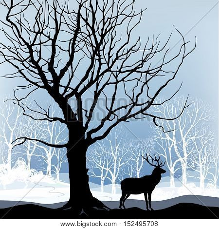 Snow winter landscape with animal deer. Nature illustration of winter forest. Snow winter background.