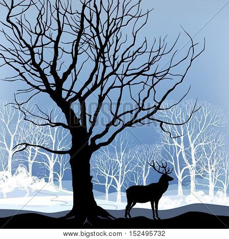 Snow winter landscape with animal deer. Nature illustration of winter forest. Snow winter background.