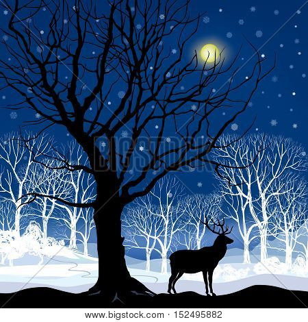 Snow winter landscape with animal deer. Nature illustration of winter forest. Snow winter background.