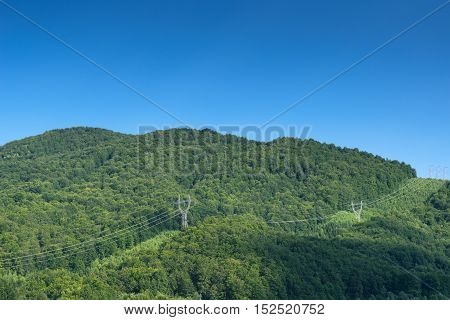 High Voltage Lines in forest landscape with clear blue sky