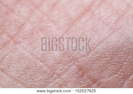 Close up of Human Skin (Side Foot)