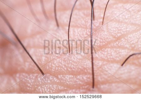 Close up Human Skin with Finger Hair