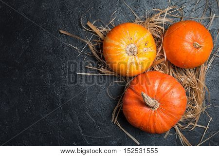 Autumn Pumpkin Thanksgiving Background - orange pumpkins over black table, top view