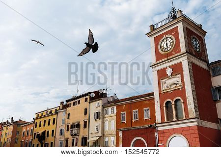 Clock Tower with bird On The Tito Square in the center of the historic European city Rovinj in Croatia