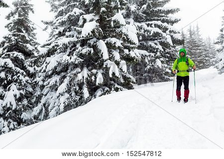 Winter trek in white woods. Man hiking trekking in winter white forest. Travel recreation fitness and healthy lifestyle in beautiful snowy nature. Motivation and inspirational white winter landscape.