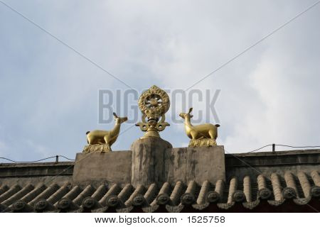 Dharma