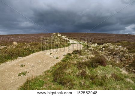 Pathway illuminated by the sun with storm clouds in background