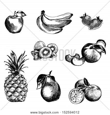 Hand drawn fruits set. Isolated. Black on white background