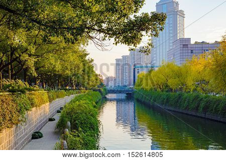 Canal in with trees and buildings in the background in Ningbo