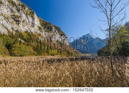Autumn landscape with mountain lake. Leopoldsteinersee Styria, Austria.