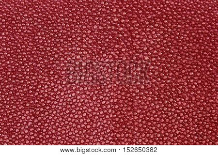 close up red texture leather shagreen background