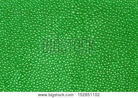 close up green texture leather shagreen background