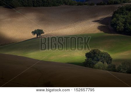 Italy, Tuscany, Pisa, Casaglia (montecatini Val Di Cecina)