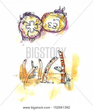 Aquatic Sea Animals Watercolor Illustration, Jelly Fish And Garden Elel