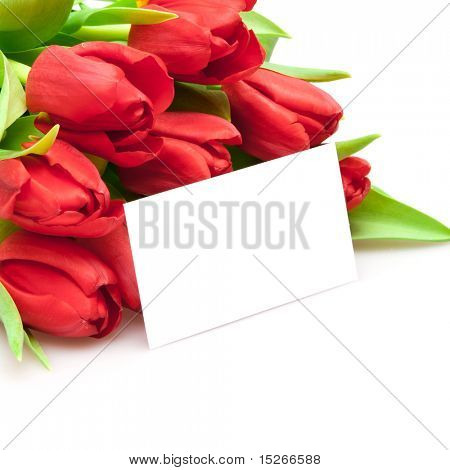 Kytice červených tulipánů izolovaných na bílém
