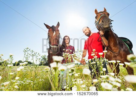 Portrait of happy couple holding hands and walking in flowery meadows with their bay horses at sunny day