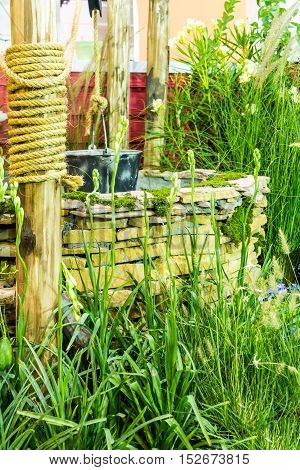 Artesian Well And Bucket.