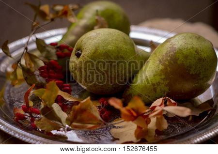 Rural vintage autumn ripe green pears, yellow leaves on a silver tray, natural fall style decorations. Natural plenteous fruits vintage background.