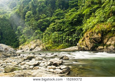 amanecer en la selva