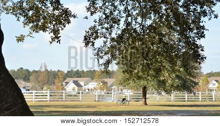 neighborhood bike riding southern fall autumn morning enjoying nature