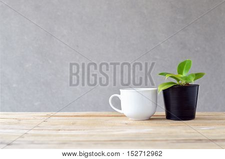 still life natural pothos (Epipremnum aureum) on wooden table