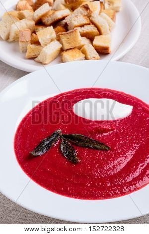 Beetroot Cream Soup
