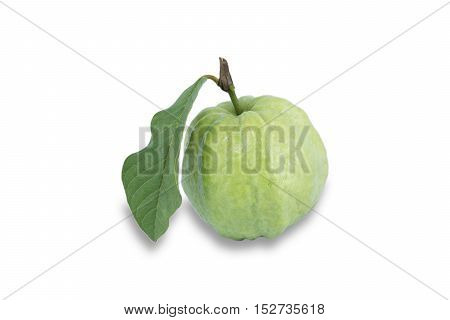 Fresh guava with leaf isolated on white background