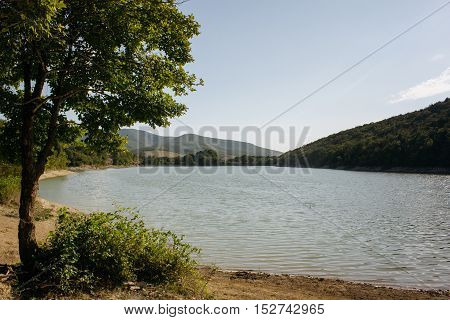 beautiful mountain lake with a tree in the foreground