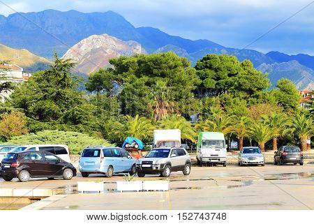Car Parking In Front Of Green Trees