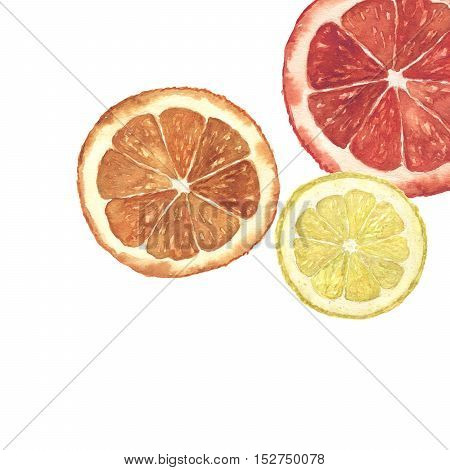 Watercolor citrus illustration. Hand painted orange, lemon and grapefruit slice background isolated on white background.