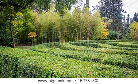 Chavchavadze park in Tsinandali Kakhetia Georgia. nature