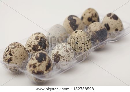 Quail eggs in transparent plastic container on white background