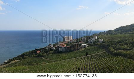 holiday village and vineyard by the sea
