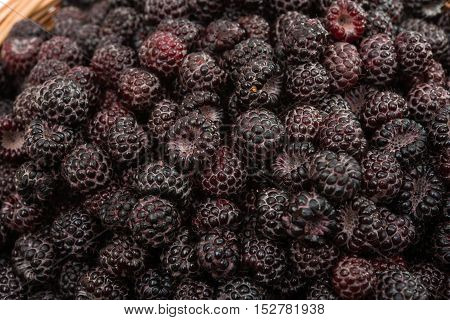 black raspberries dessert, food on a white background