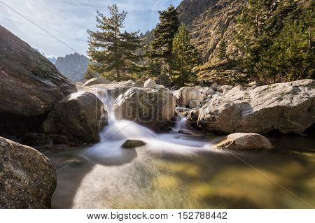 Waterfalls In The Mountains Of Restonica Valley In Corsica