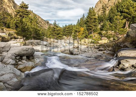 Waterfalls In The Mountains Of Restonica Valley In Corsica