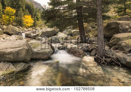 Waterfalls In The Mountains Of Restonica Valley In Corsica