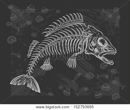 hand drawn fish skeleton sketch vector illustration