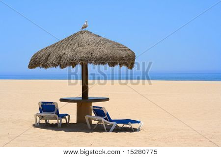 Palapa na opuštěné pláži, Racek, který sedí na vrcholu.