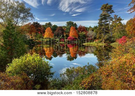 Reflection of fall foliage at Asticou Azalea Garden near Bar Harbor Maine.
