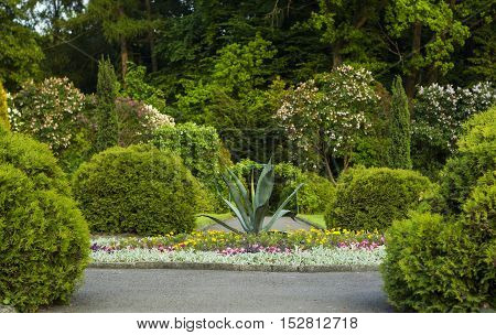 Flowerbed, trimmed shrubs, flowering trees and tracks in botanical garden