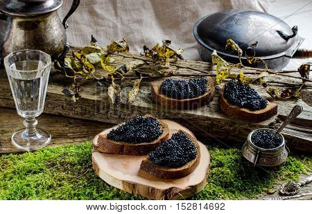 Russian food. Sandwiches with black caviar. Black bread. Vodka. vintage shot glass. silverware. The old Board and moss. Autumn withered leaves.